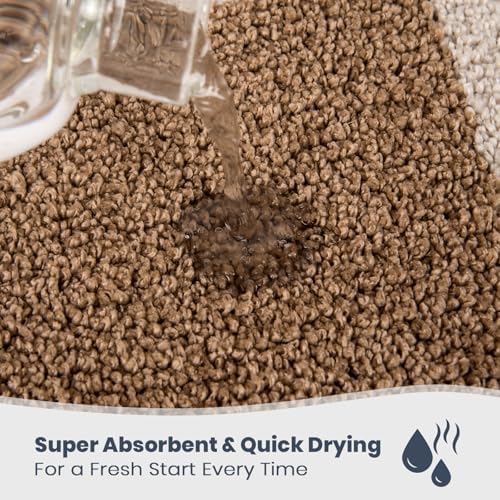 PURRUGS Bathroom Rug Non-Slip Machine Washable 30" x 60", Super Absorbent and Quick-Dry Bath Mat, Extra Soft and Plush Bath Rug for Shower, Bathtub and Sink, Beige & Grayish Brown