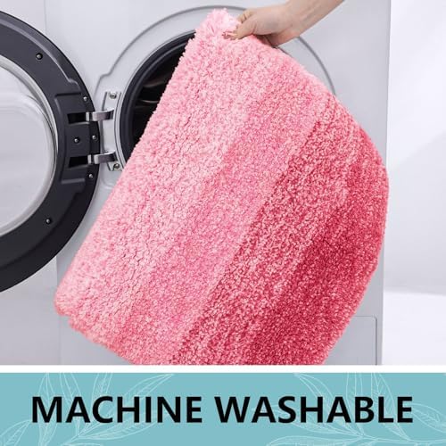 Arotive Microfiber Bathroom Rugs, Shaggy Soft Absorbent Bath Rug, 59x24
