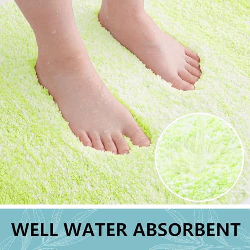 Arotive Microfiber Bathroom Rugs, Shaggy Soft Absorbent Bath Rug, 30x20