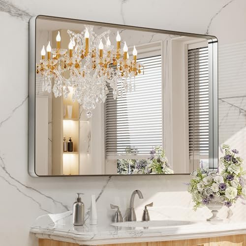 LOAAO 48X30 Inch Brushed Nickel Bathroom Mirror