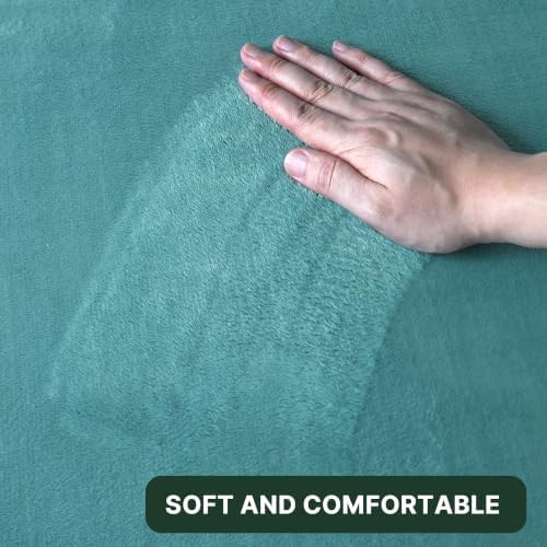 H.VERSAILTEX Bath Mat Set Flannel Velvety Luxury Extra Soft Absorbent Non Slip Bathroom/Bedroom Rugs (Curved Set 20"x 32" Plus 20"x 20"U, Eggshell Blue)