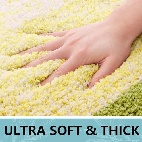 Arotive Microfiber Bathroom Rugs, Shaggy Soft Absorbent Bath Rug, 24x16
