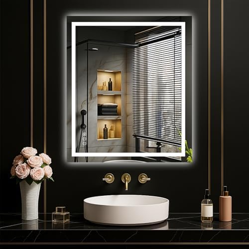 LOAAO 24"X28" LED Bathroom Mirror with Lights, UL Listed