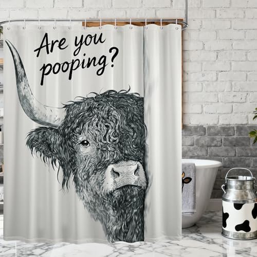 Funny Highland Cow Shower Curtain are You Pooping, 70x72 Inch