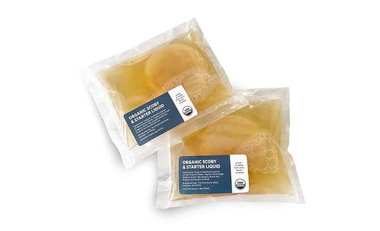 Organic SCOBY 2-Pack | Kombucha Starter Kit with Live Culture for Brewing Kombucha Tea - Urban Kitchen