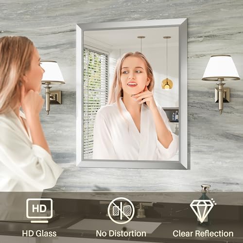 Briivue Bathroom Wall Mirror, Silver Brushed Nickel Metal Frame, 24x36 Inch
