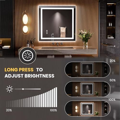 LOAAO 28"X30" LED Bathroom Mirror with Lights, UL Listed