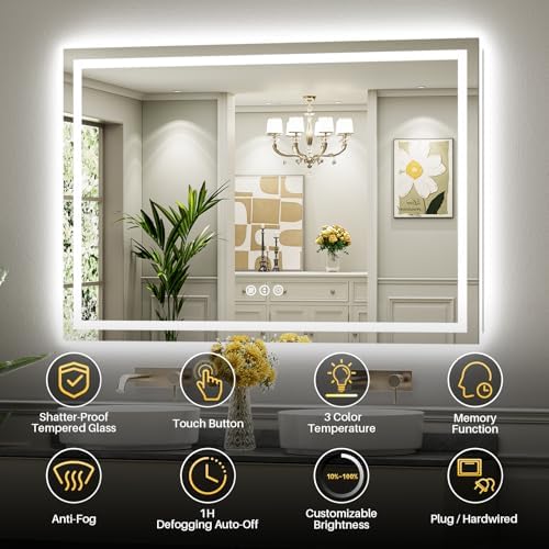 Briivue 60x30 Inch LED Bathroom Mirror with Lights, Backlit & Front Lit