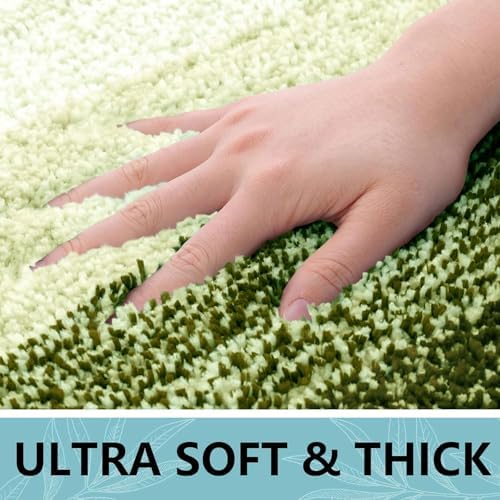 Arotive Microfiber Bathroom Rugs, Shaggy Soft Absorbent Bath Rug, 30x20