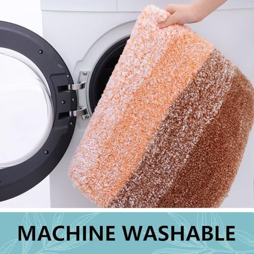 Arotive Microfiber Bathroom Rugs, Shaggy Soft Absorbent Bath Rug, 24x16