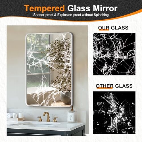 Delma Bathroom Vanity Mirror, Silver Framed Mirror for Over Sink, 30x20