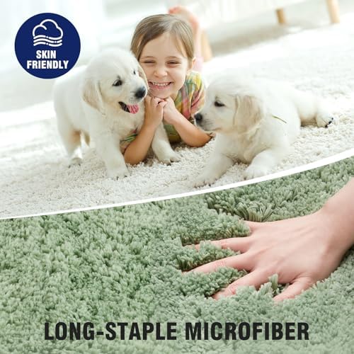 TECHMILLY Super Soft Shaggy Bathroom Rugs Sets 2 Piece, Absorbent Thick Non Slip Microfiber Bath Rugs, Quick Dry Machine Washable Bath Mat for Bathroom Floor, Bathtub and Shower 17"x24"
