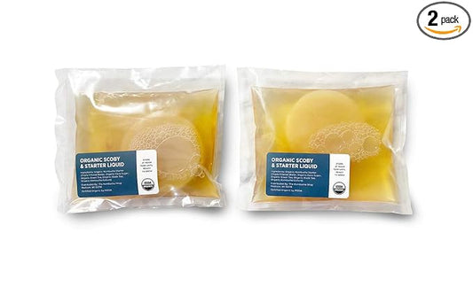 Organic SCOBY 2-Pack | Kombucha Starter Kit with Live Culture for Brewing Kombucha Tea - Urban Kitchen