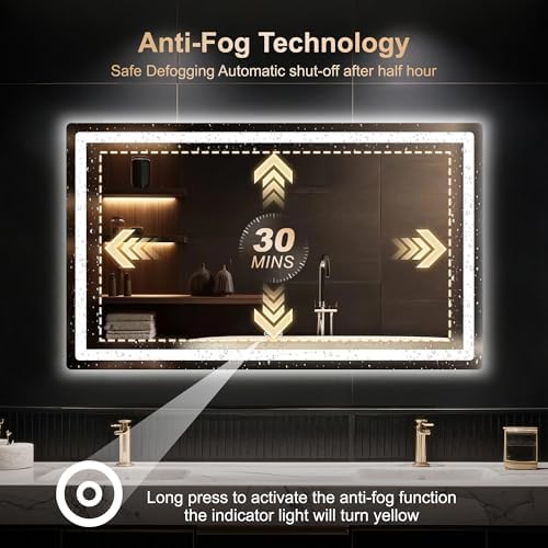 Delma 30x50 LED Bathroom Vanity Mirror with Lights, Anti-Fog, Dimmable
