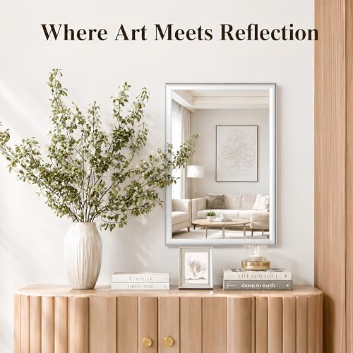 Brushed Nickel Bathroom Mirrors for Over Sink 22x30 Inch