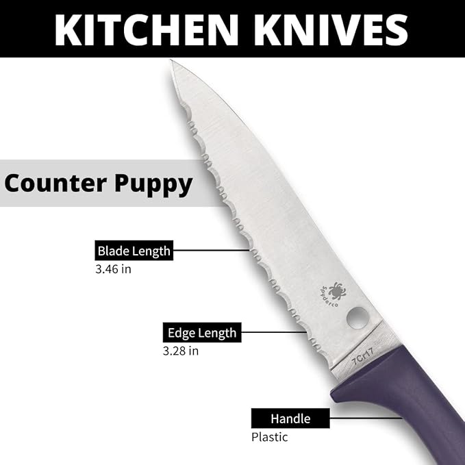 Spyderco Counter Puppy Fixed Blade with 3.48" 7Cr17 Stainless Steel Blade and Plastic Purple Handle - EDC Knife for Men & Women, Perfect for Hunting, Tactical, Camping, Survival - SpyderEdge - K20SPR