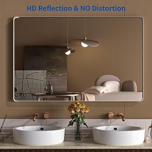 WEER Brushed Nickel Bathroom Vanity Mirror 55X30 Inch