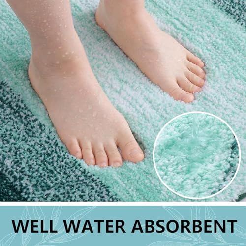 Arotive Microfiber Bathroom Rugs, Shaggy Soft Absorbent Bath Rug, 30x17