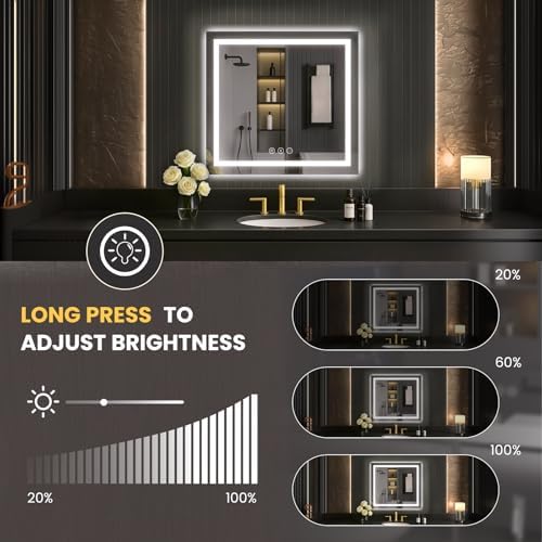 LOAAO 30"X30" LED Bathroom Mirror with Lights, UL Listed