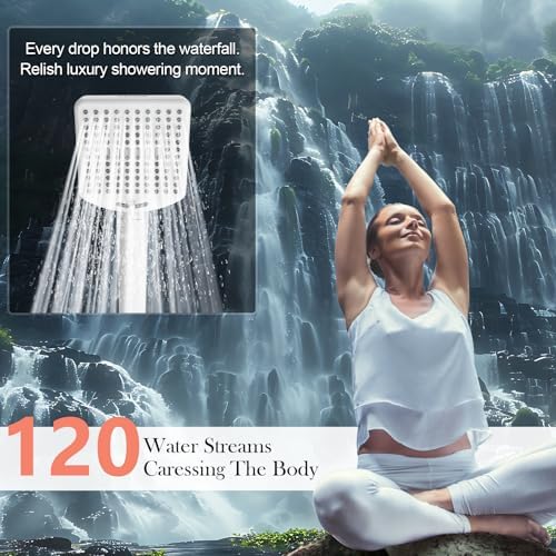 Homlord Filtered Shower Head with Handheld, High Pressure 6 Mode Showerhead