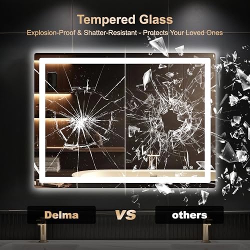 Delma 30x40 LED Bathroom Vanity Mirror with Lights, Anti-Fog, Dimmable