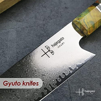 Damascus Chef Knife Unique One of Kind Handle Professional Japanese Chefs Kitchen Knife Vg10 67 Layers Damascus Steel Knive (Gyuto 10")
