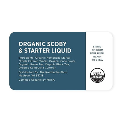 Organic SCOBY 2-Pack | Kombucha Starter Kit with Live Culture for Brewing Kombucha Tea - Urban Kitchen
