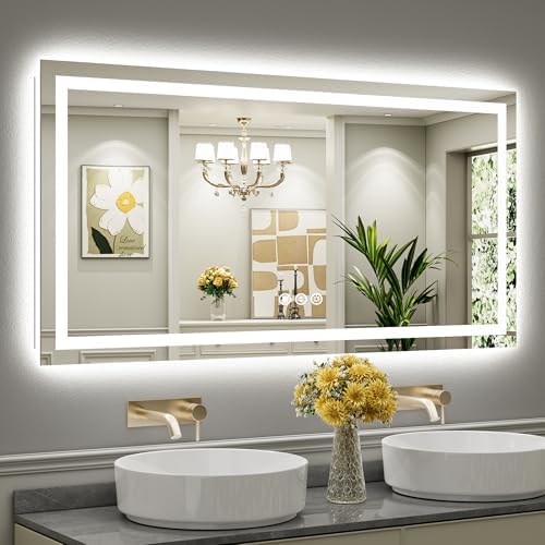Briivue 60x30 Inch LED Bathroom Mirror with Lights, Backlit & Front Lit