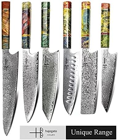Damascus Chef Knife Unique One of Kind Handle Professional Japanese Chefs Kitchen Knife Vg10 67 Layers Damascus Steel Knive (Gyuto 10")