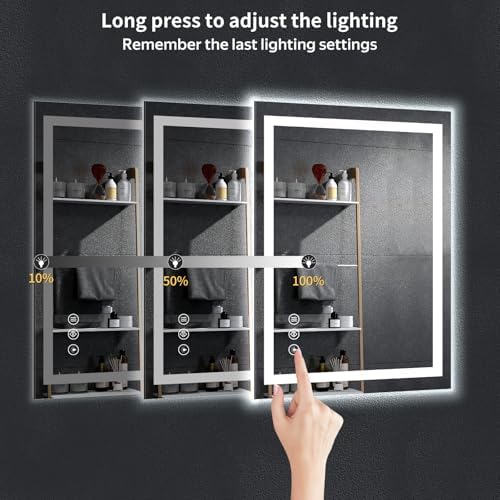 28"x20" LED Bathroom Mirror with Lights, Backlit+Frontlit, Anti-Fog