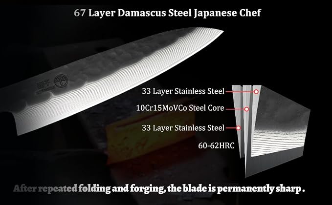Japanese Chef Kitchen Knife, 8 Inch Black Gyuto, Hand Forged 67 Layers Damascus Steel VG10 Core, Ultra Sharp, Rosewood & Ebony Handle, Leather Sheath,A Thoughtful Father Day Gifts for Men