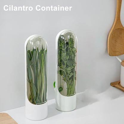 Herb Keeper for Refrigerator 2 Pack, Clear Vertical Cilantro Container with Water Base, 3.35 x 2.56 x 9.84 In ABS Herb Saver for Parsley Mint Basil, Fridge Door Storage