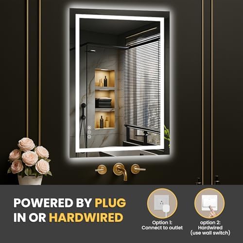 LOAAO 20"X30" LED Bathroom Mirror with Lights, UL Listed