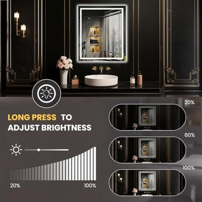 LOAAO 24"X28" LED Bathroom Mirror with Lights, UL Listed