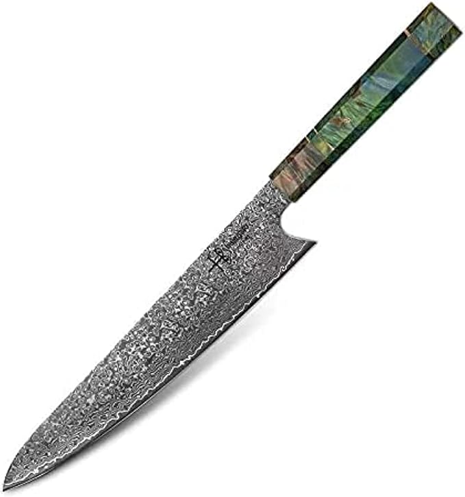 Damascus Chef Knife Unique One of Kind Handle Professional Japanese Chefs Kitchen Knife Vg10 67 Layers Damascus Steel Knive (Gyuto 10")