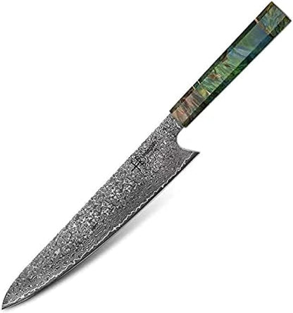 Damascus Chef Knife Unique One of Kind Handle Professional Japanese Chefs Kitchen Knife Vg10 67 Layers Damascus Steel Knive (Gyuto 10")
