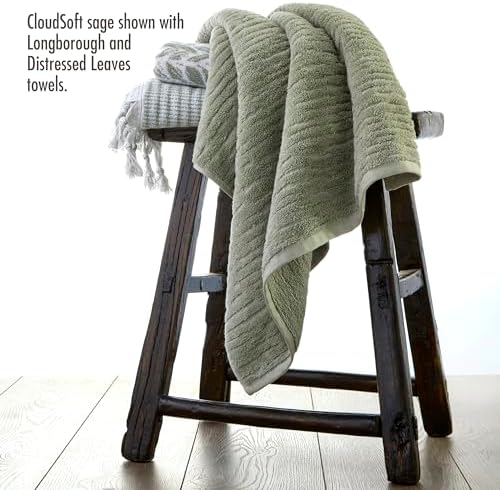 SKL Home CloudSoft Hand Towel Set, 2-Piece, 100% Cotton Luxury, Sage