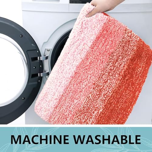 Arotive Microfiber Bathroom Rugs, Shaggy Soft Absorbent Bath Rug, 30x20