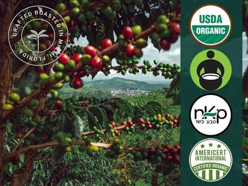 Artizan Coffee USDA Organic Ground Coffee | Stout Blend | Medium-Dark Roast | Extra Coarse | 10 oz | Roasted in South Florida