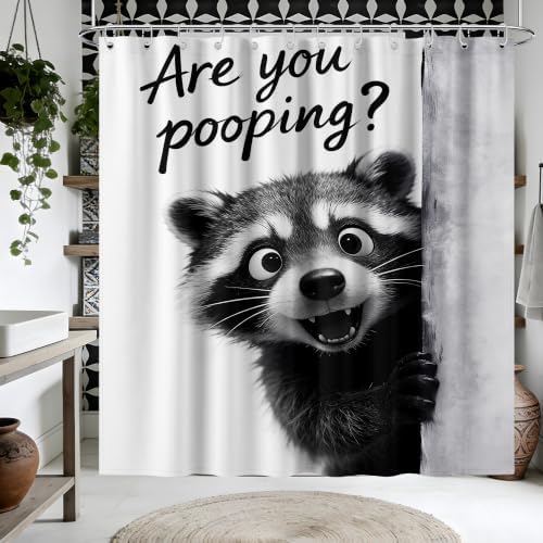 Funny Raccoon Shower Curtain Cute Animal, 70x72 Inchs