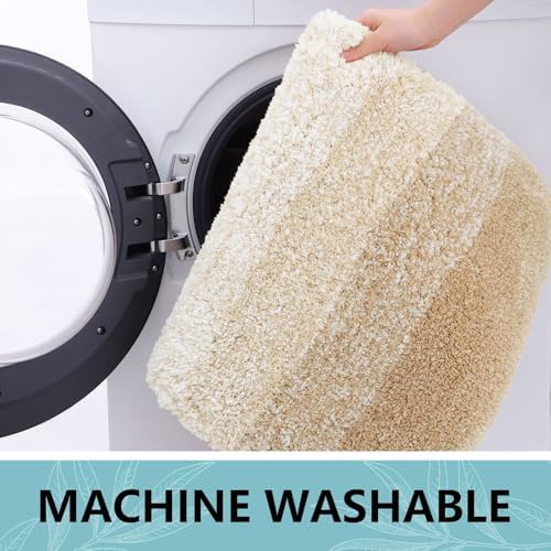 Arotive Microfiber Bathroom Rugs, Shaggy Soft Absorbent Bath Rug, 44x24