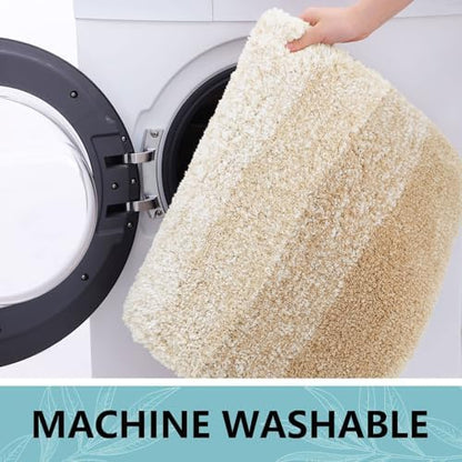 Arotive Microfiber Bathroom Rugs, Shaggy Soft Absorbent Bath Rug, 44x24