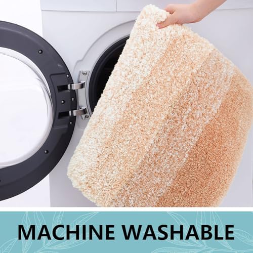 Arotive Microfiber Bathroom Rugs, Shaggy Soft Absorbent Bath Rug, 30x20