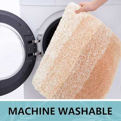 Arotive Microfiber Bathroom Rugs, Shaggy Soft Absorbent Bath Rug, 30x20