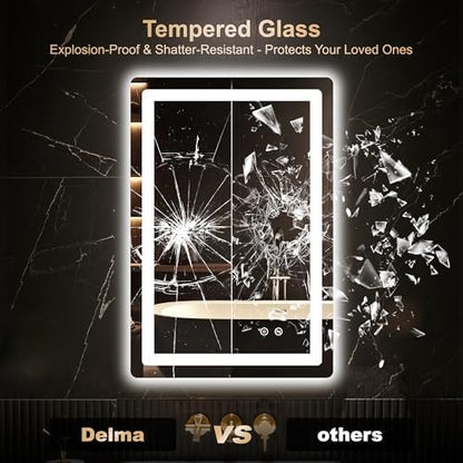 Delma 30x20 LED Bathroom Vanity Mirror with Lights, Anti-Fog, Dimmable