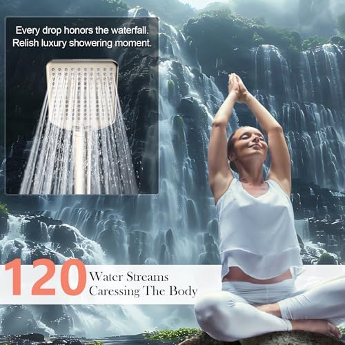 Homlord Filtered Shower Head with Handheld, High Pressure 6 Mode Showerhead