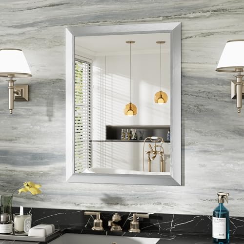 Briivue Bathroom Wall Mirror, Silver Brushed Nickel Metal Frame, 24x32 Inch