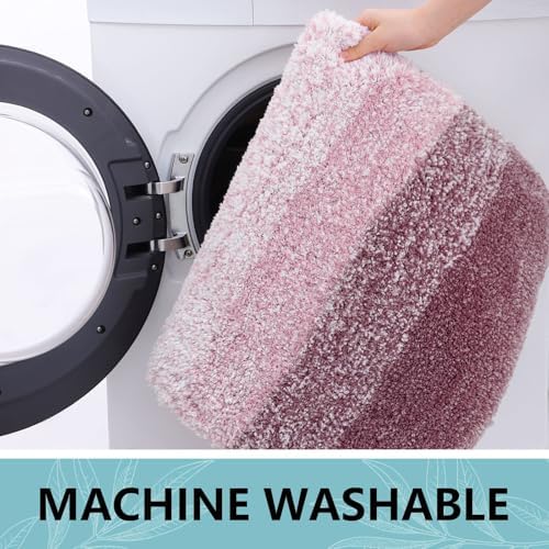 Arotive Microfiber Bathroom Rugs, Shaggy Soft Absorbent Bath Rug, 70x24