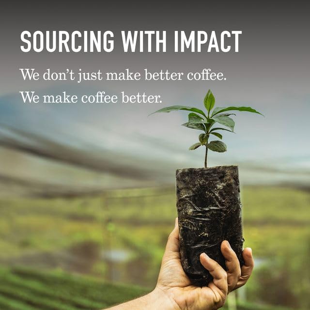 Peet's Coffee, 100% Arabica Light Roast Ground Coffee, Sun Catcher Blend 10.5 Ounce Bag (Pack of 3)