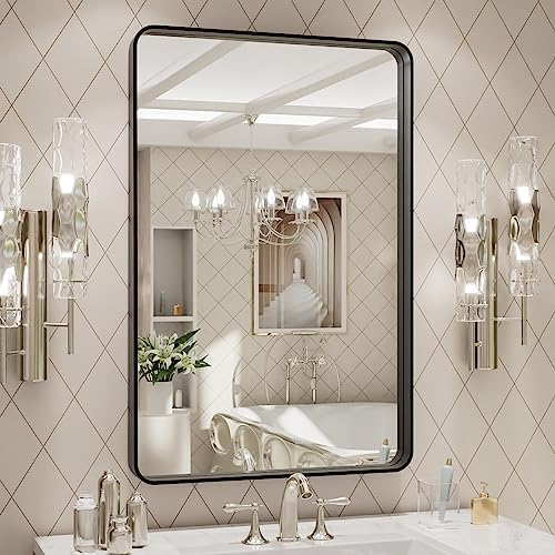 LOAAO 20X30 Inch Black Metal Framed Bathroom Mirror